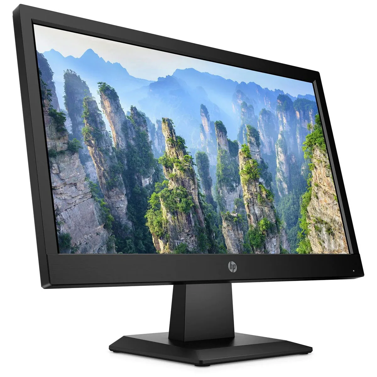 HP 19-Inch LED-Lit Monitor view 2